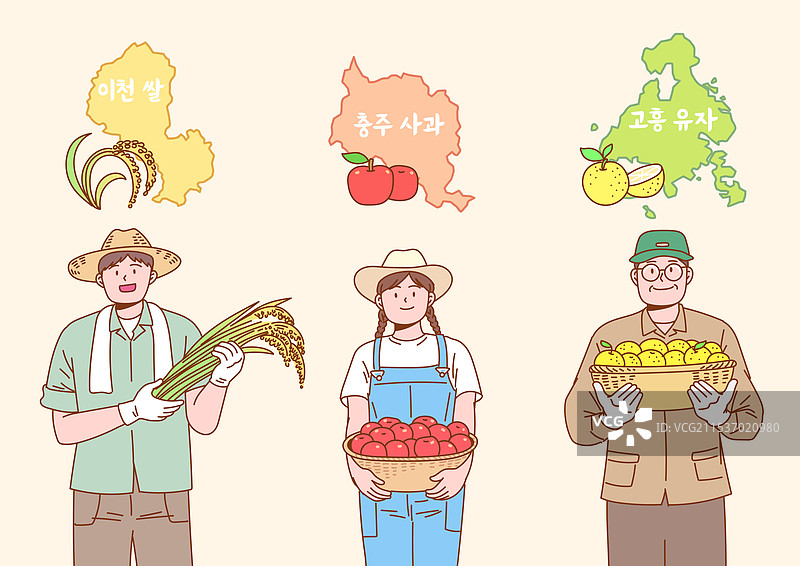 农作物，直接从农场送达，环保农场，有机农业，韩国地图，益川市，大米，忠州市，苹果，高兴郡，柚子，农民图片素材