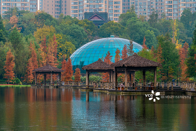 观音塘湿地公园冬日图片素材