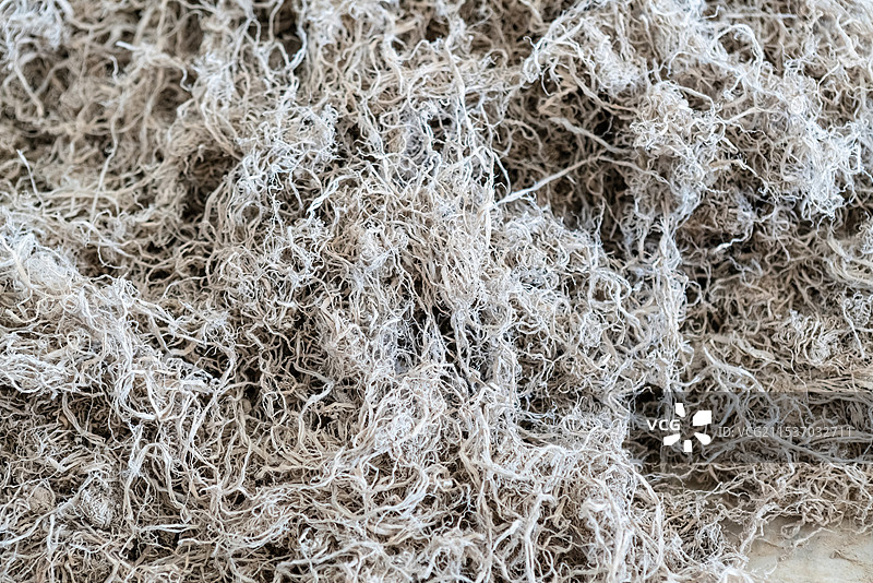 制作宣纸的原料图片素材