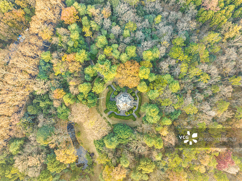 航拍秋季南京中山陵风景区光化亭图片素材