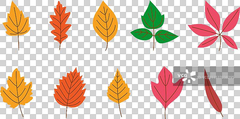 秋季树叶落叶集合图片素材