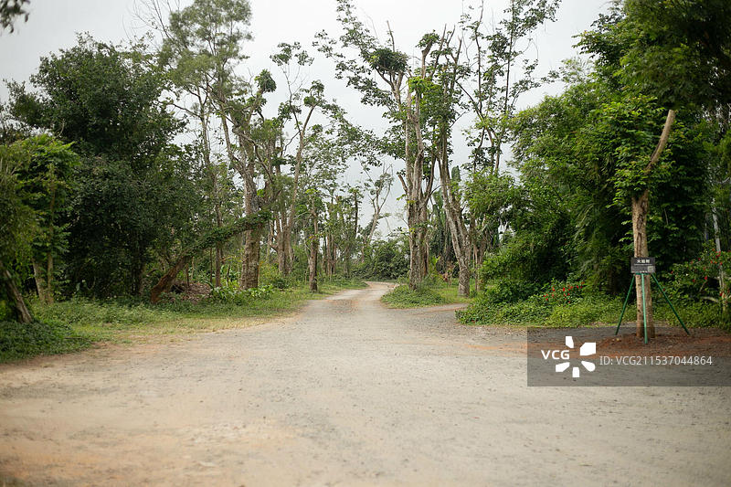 海口海南热带野生动植物园图片素材