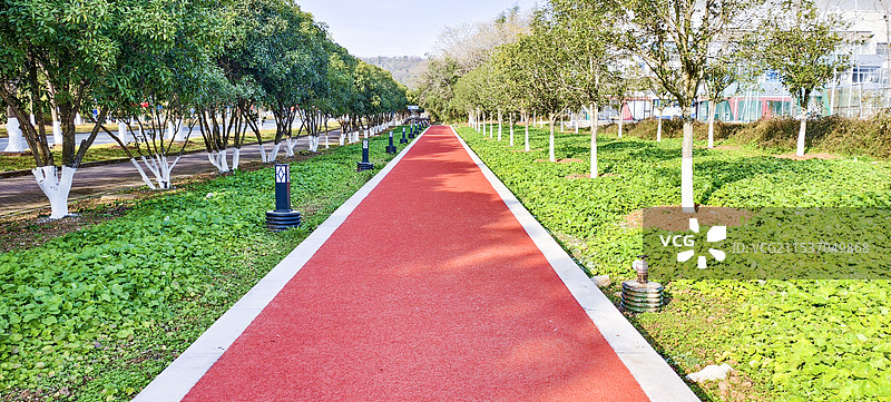 幽静的公园小道图片素材