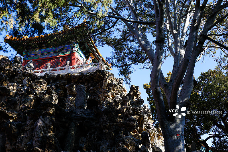 北京故宫御花园堆秀山上的白皮松冬天风光图片素材