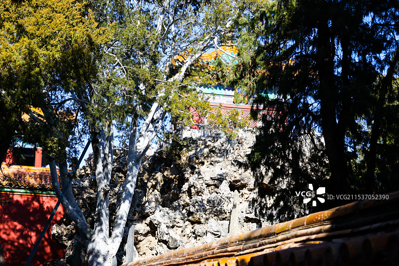 北京故宫御花园堆秀山上的白皮松冬天风光图片素材