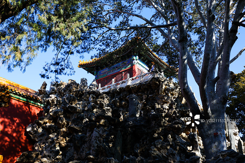 北京故宫御花园堆秀山上的白皮松冬天风光图片素材