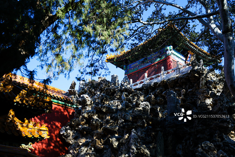 北京故宫御花园堆秀山上的白皮松冬天风光图片素材