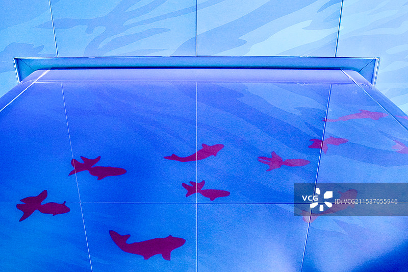 墙上的红鱼图片素材