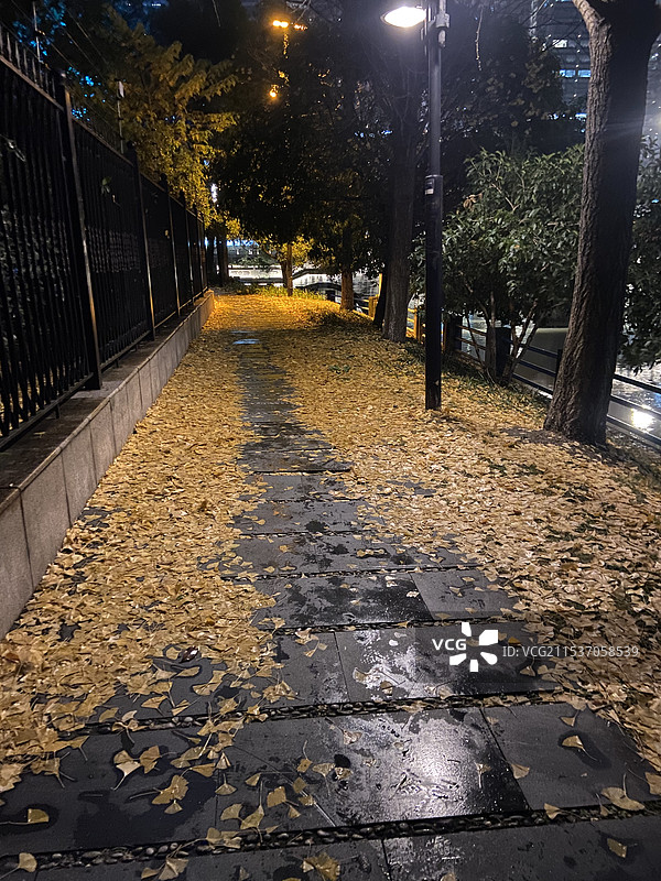 雨后的街道图片素材