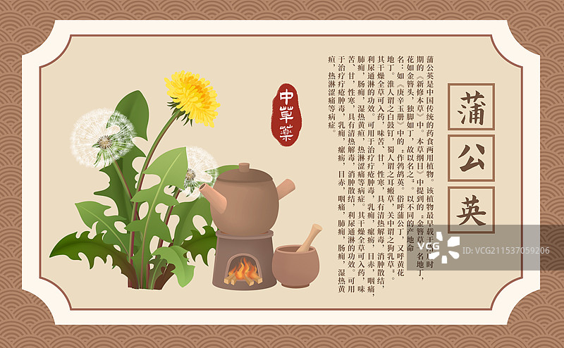 中草药蒲公英插画海报图片素材