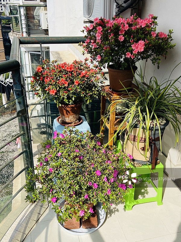 墙角的盆栽图片素材