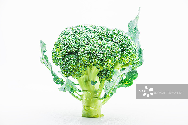 白底立放着一颗带叶子的新鲜西兰花，绿色蔬菜图片素材
