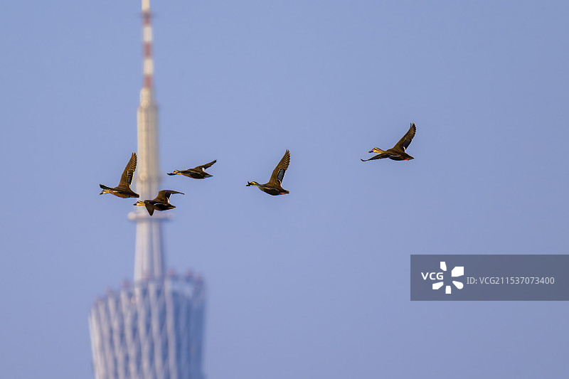 超越自我图片素材