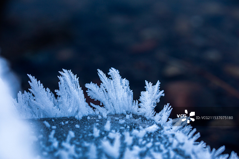 冰河上的霜花图片素材