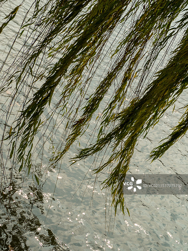 慈湖公园图片素材