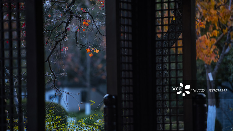 天平山 秋色图片素材