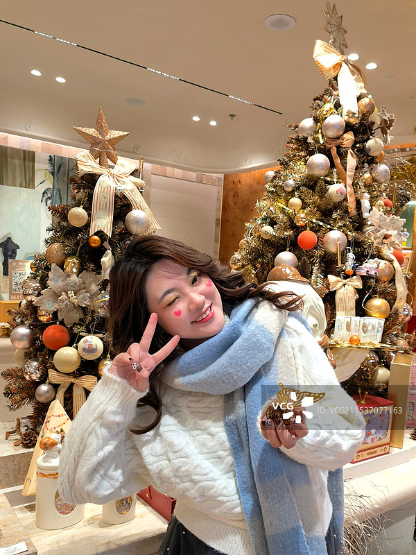 野兽派圣诞树装饰图片素材