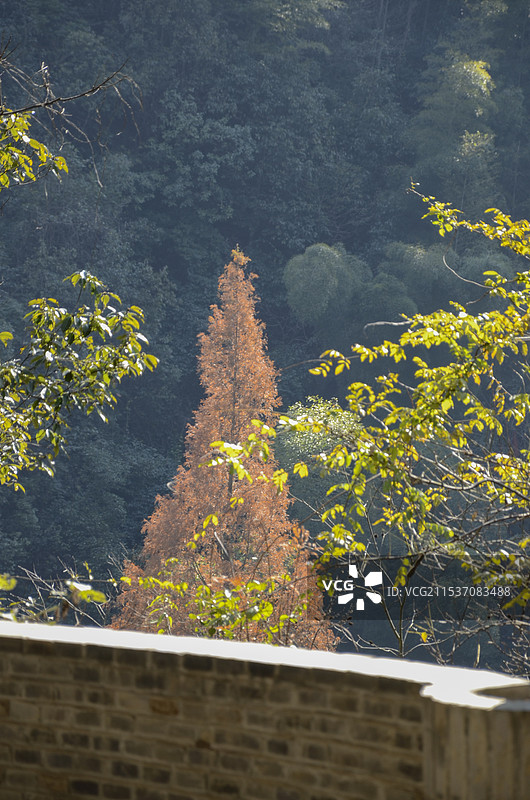 德清莫干山仙潭村碧坞龙潭景区风光图片素材