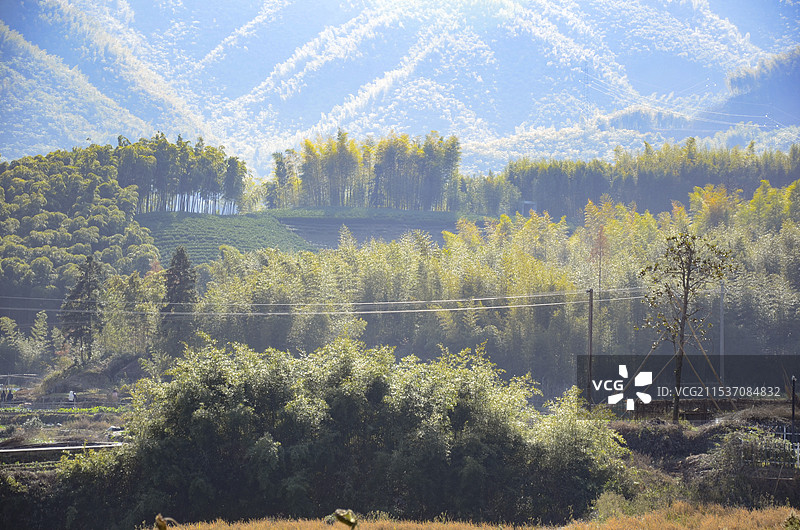 德清莫干山仙潭村村庄竹林山林风光图片素材