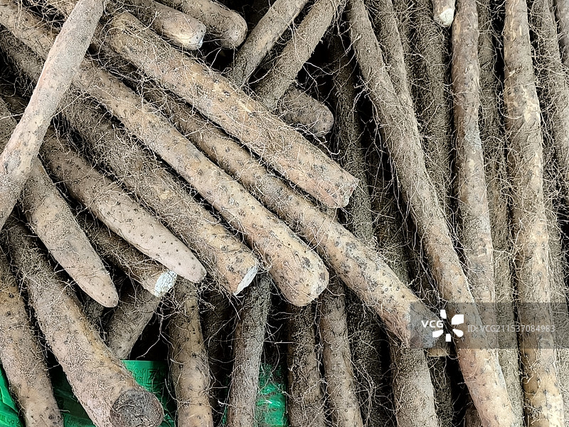 铁棍山药图片素材