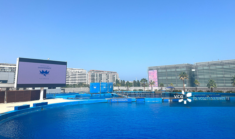 瓦伦西亚海洋博物馆-海豚图片素材