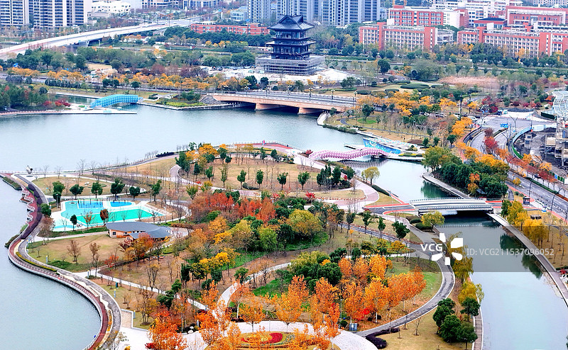 《金秋上海之鱼》上海图片素材