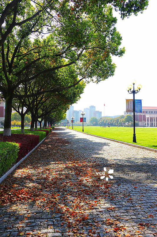 校园景色:南京传媒学院图片素材