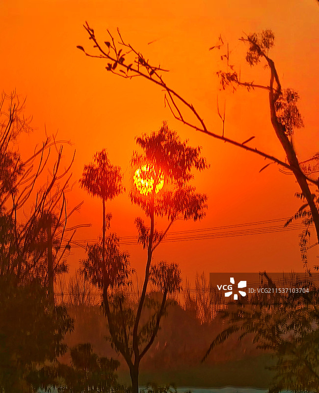 初升的太阳，红光映山野图片素材