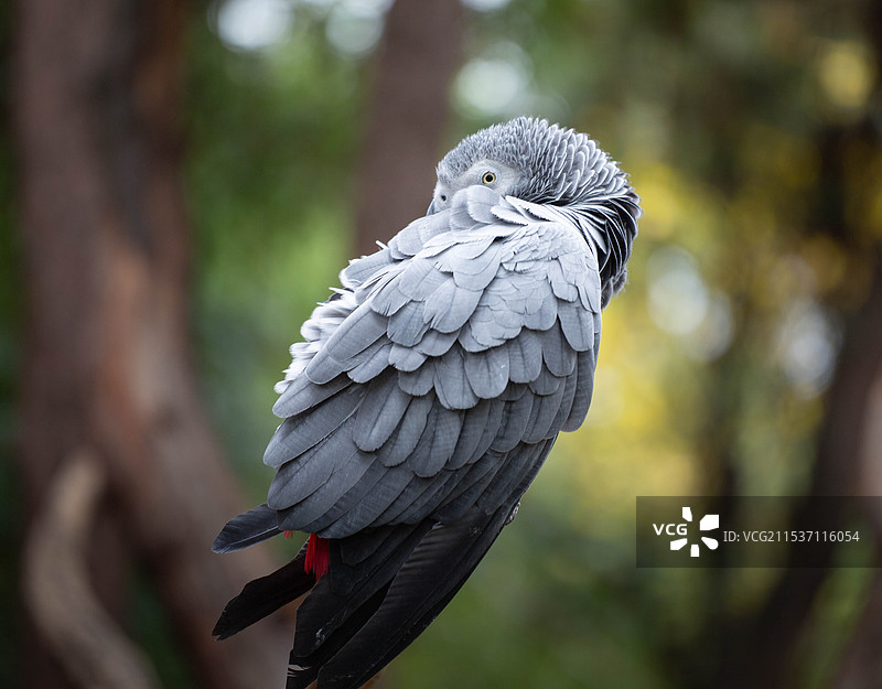 云南野生动物园图片素材