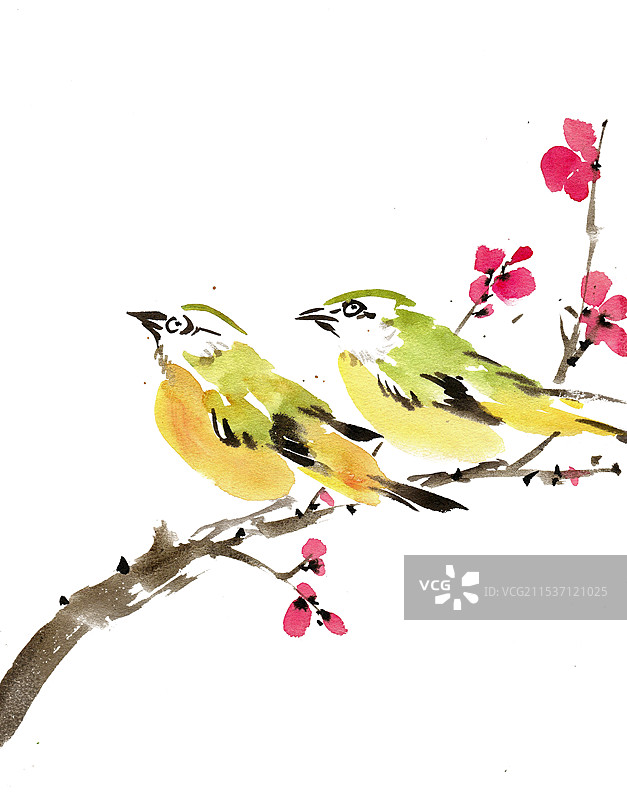 梅花与小鸟图片素材