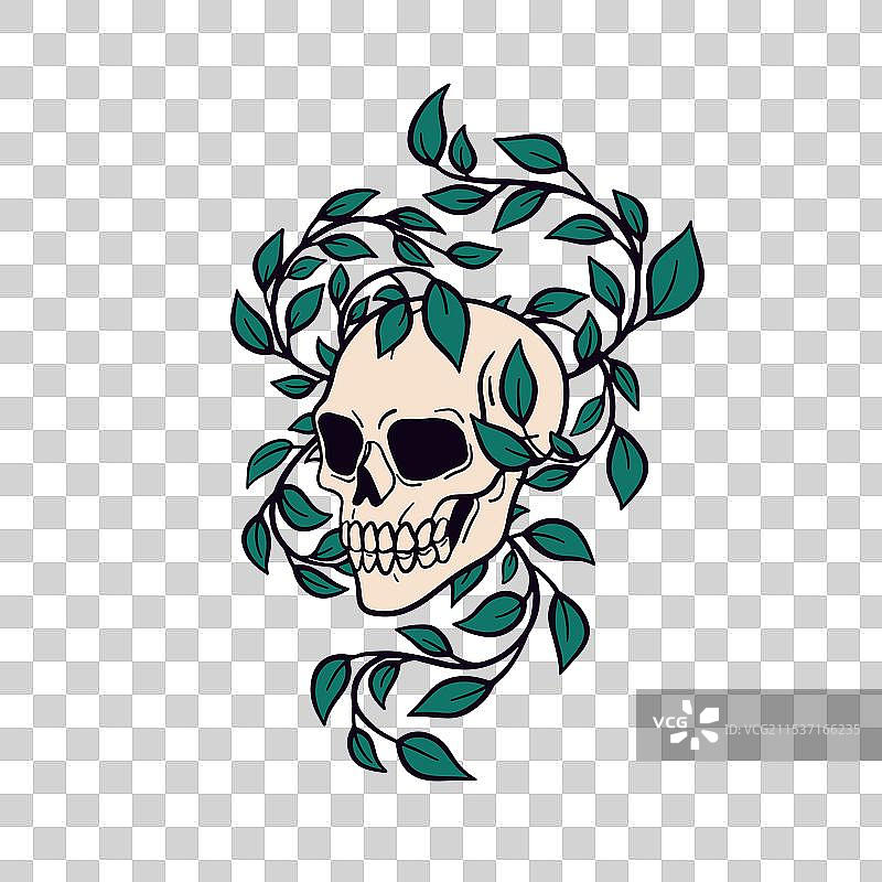 带有叶藤的骷髅，象征生与死图片素材