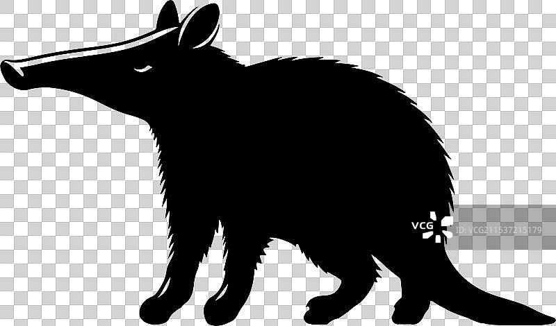 白色背景下的土豚剪影图片素材