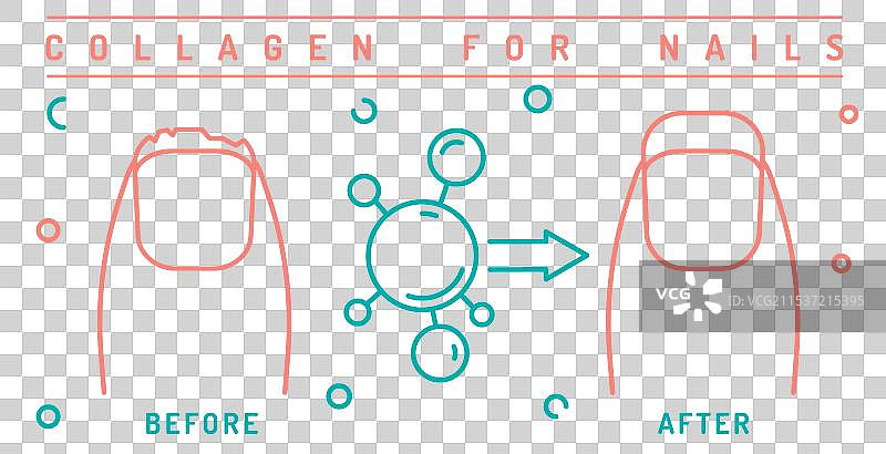 指甲胶原蛋白前后对比海报带线条图片素材