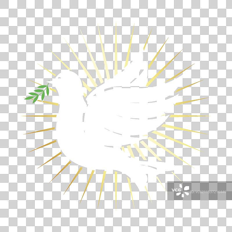 带有绿色枝条的白色和平鸽图片素材