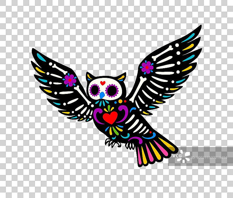 死去的万圣节猫头鹰骷髅，墨西哥亡灵节图片素材