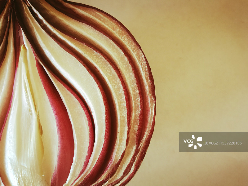 洋葱剖面图片素材