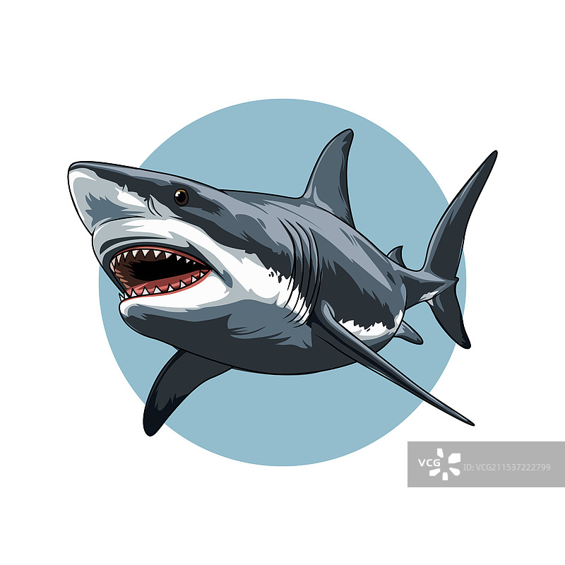 愤怒的鲨鱼攻击图片素材