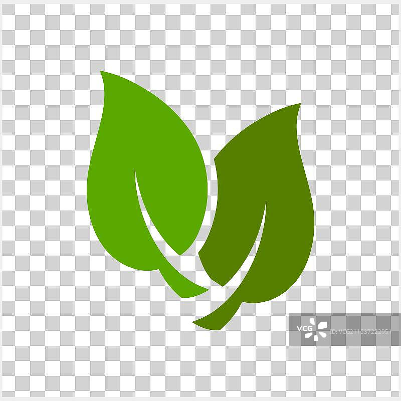 涂鸦绿色叶子图标，独立模板剪贴画图片素材