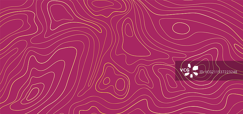 抽象金色线条地形图轮廓图片素材