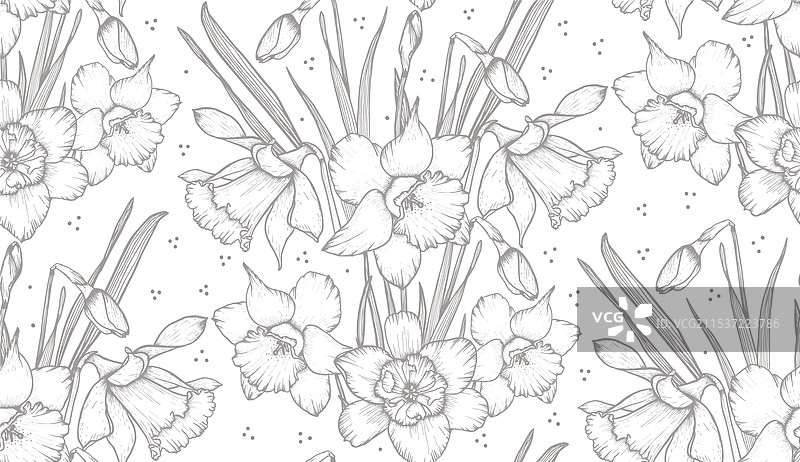手绘水仙花无缝图案图片素材