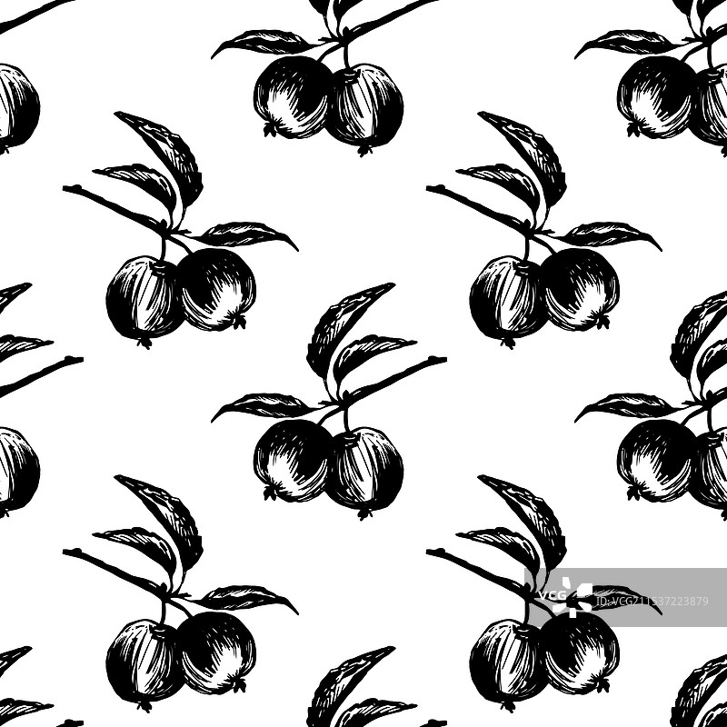 黑白苹果无缝图案水果图片素材