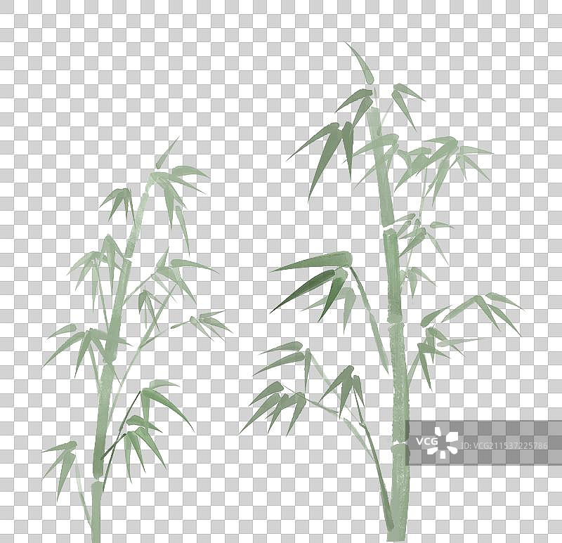 竹子竹林国风手绘插画元素图片素材