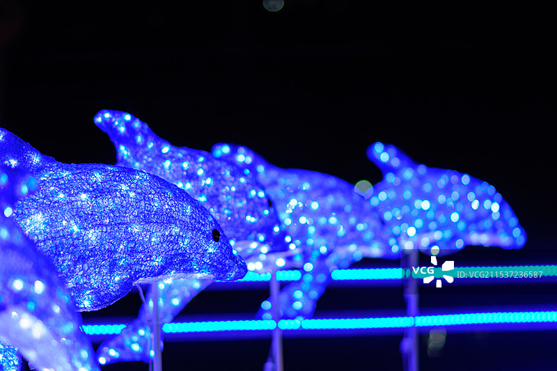 黑色背景下海豚彩灯的特写镜头图片素材