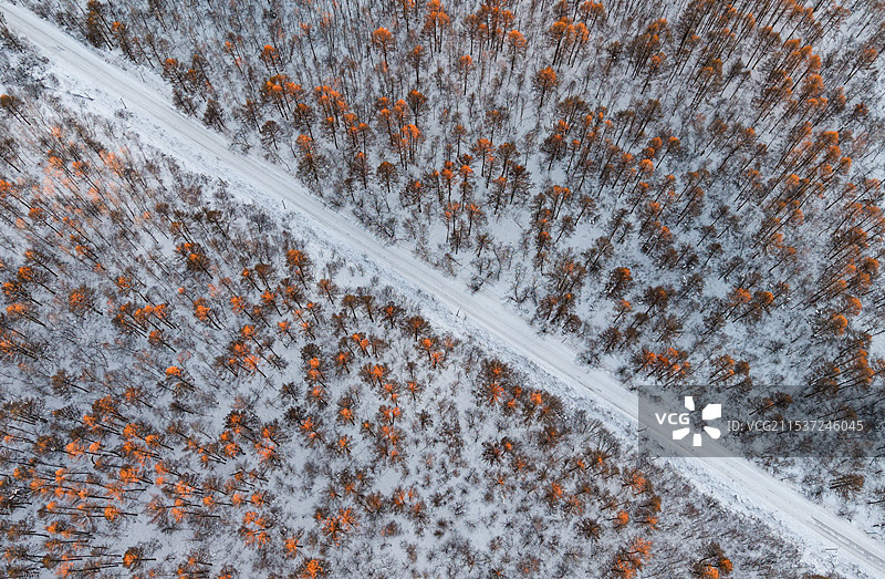 航拍冬季雪地上的橙色森林与道路图片素材