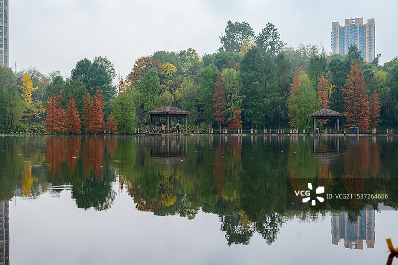 观音塘湿地公园冬日图片素材