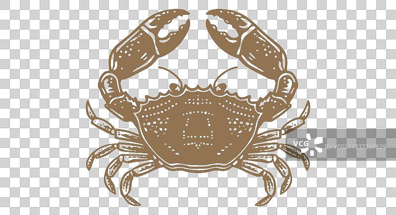 复古风格的螃蟹海鲜素描印刷品图片素材