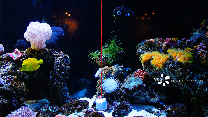 北京太平洋海底世界博览馆图片素材