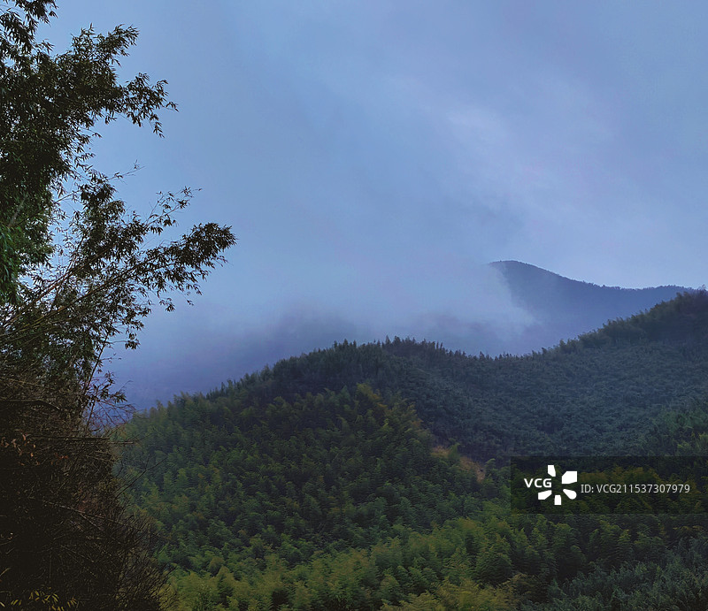 雾罩天目山图片素材