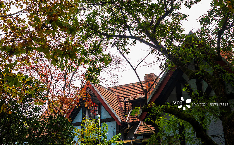 上海，武康路历史文化街区图片素材