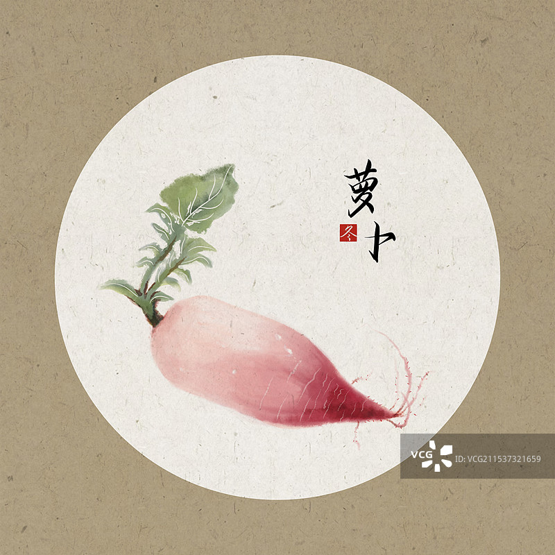 国画萝卜冬天蔬菜写生插画图片素材